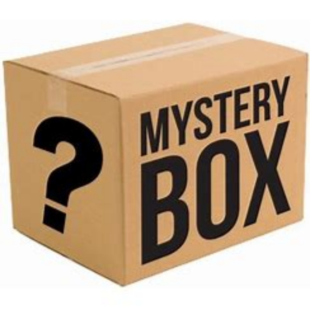 Mystery Box Plus Size Items (4)